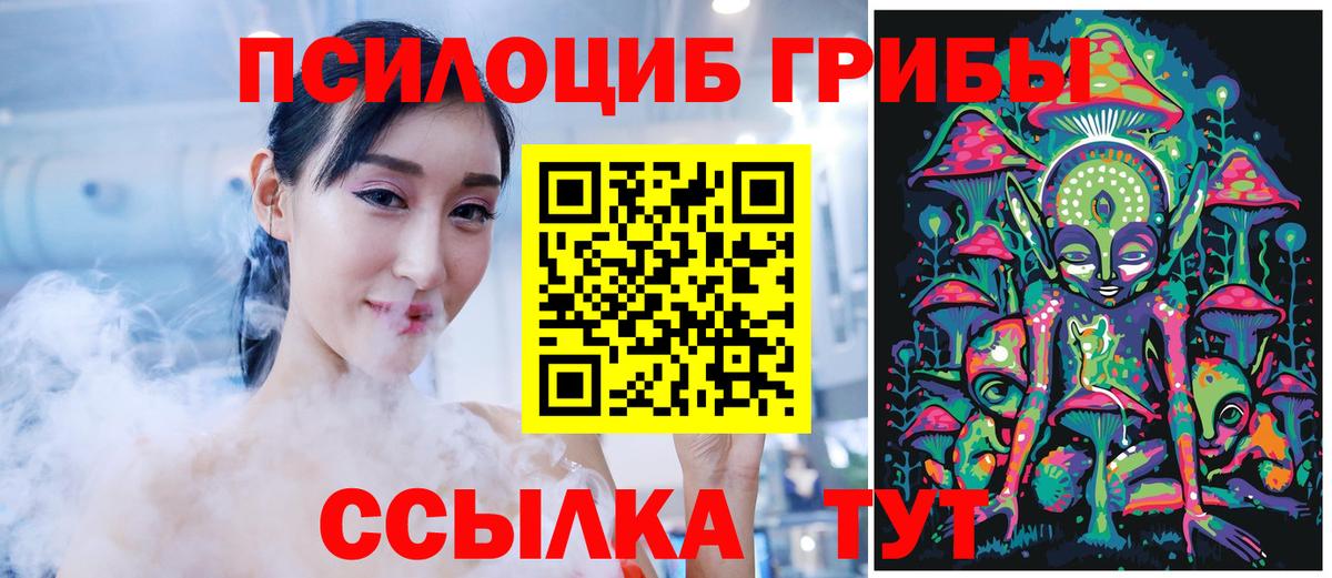 Псилоцибиновые грибы Psilocybe  Псилоцибиновые грибы ЛСД  цены   Вход с VPN  Выборг 